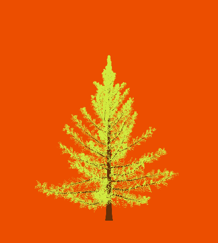 Treee