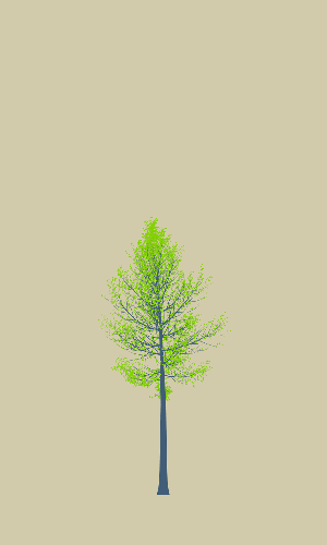Treee