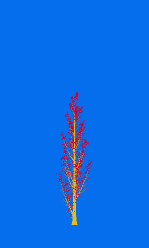 Treee