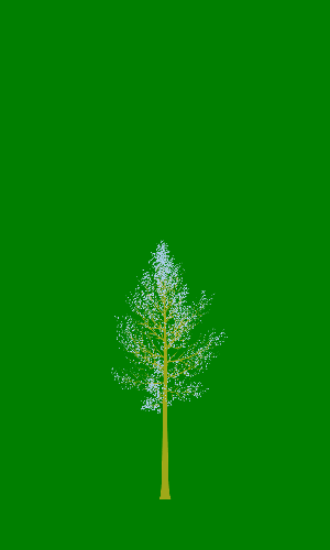 Treee