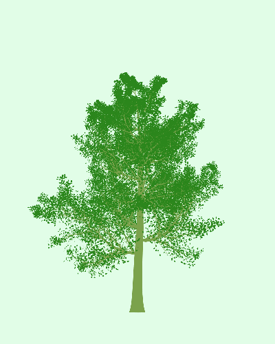 Treee