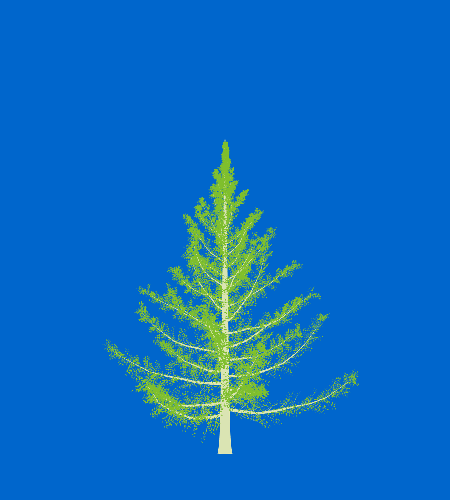 Treee