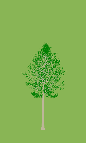 Treee