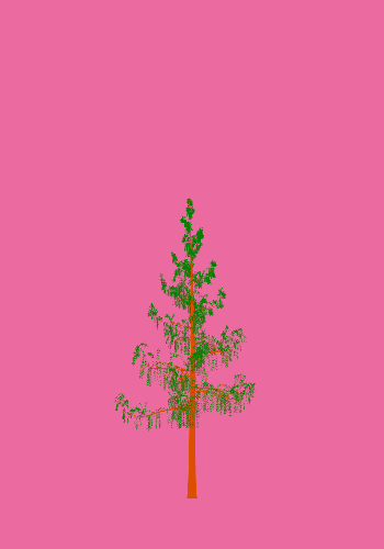 Treee