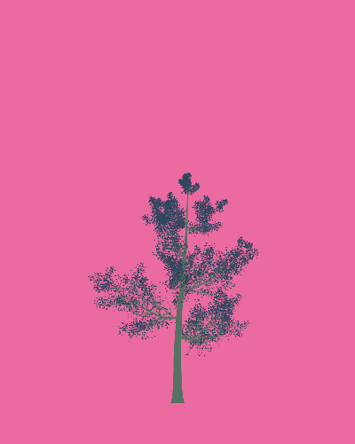 Treee