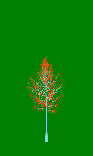 Treee