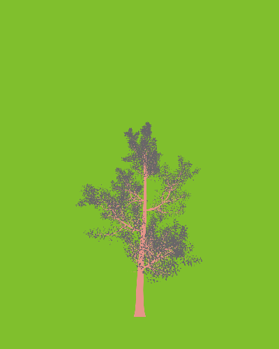 Treee