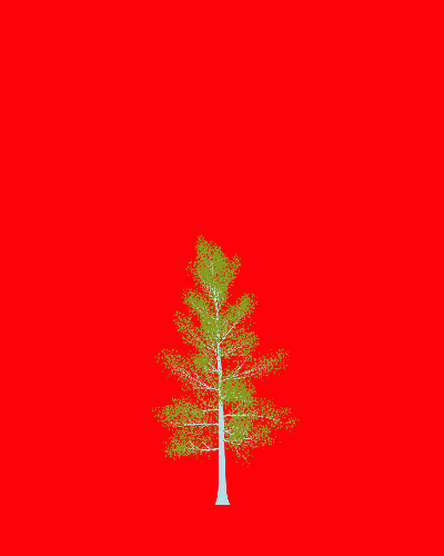 Treee