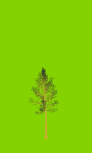 Treee