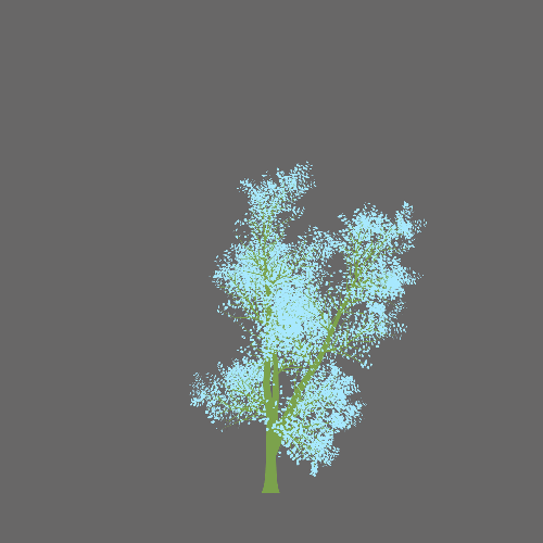 Treee
