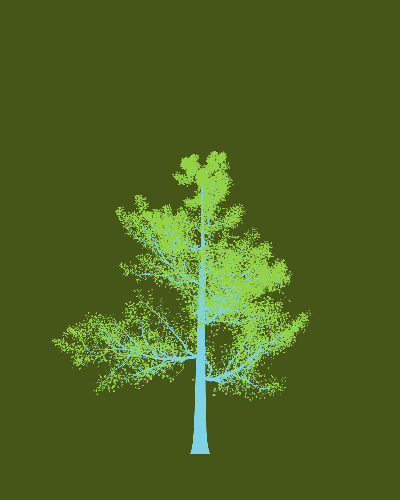 Treee