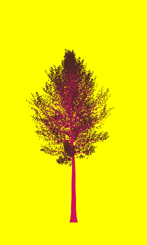 Treee