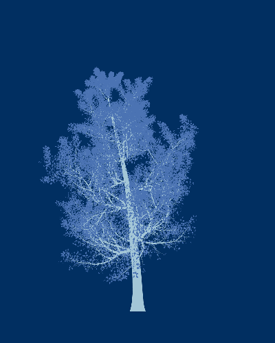 Treee