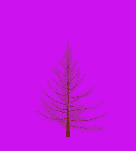Treee