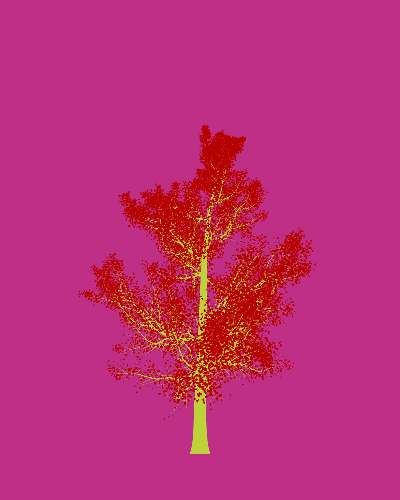 Treee