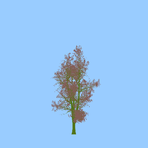 Treee