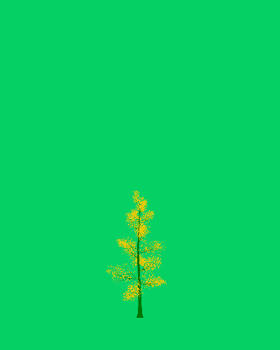Treee