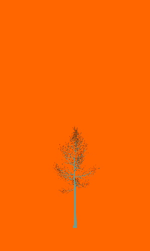 Treee