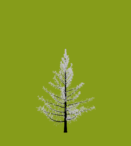 Treee