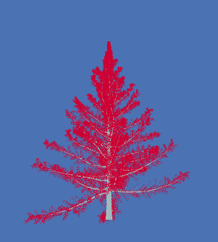 Treee