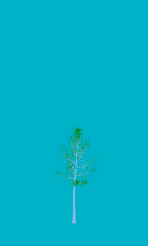 Treee