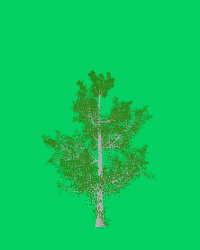 Treee