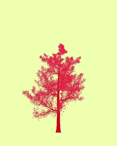 Treee