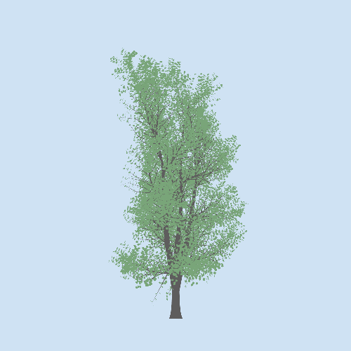 Treee