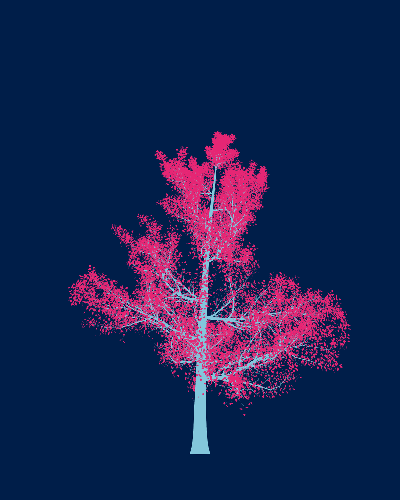 Treee