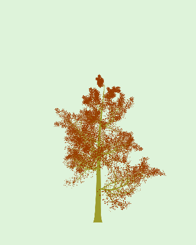 Treee