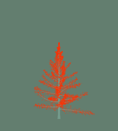 Treee