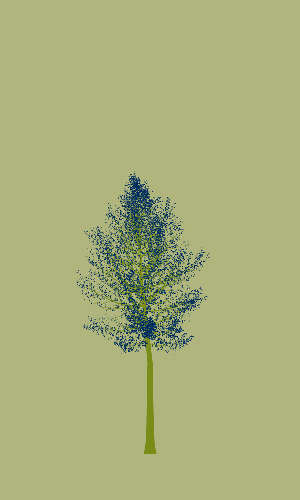 Treee