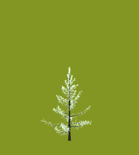 Treee