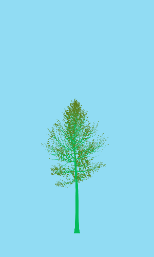 Treee