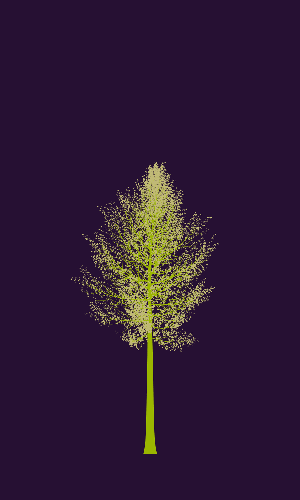 Treee
