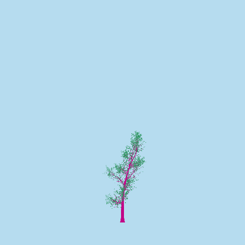 Treee