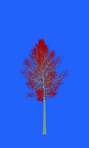 Treee