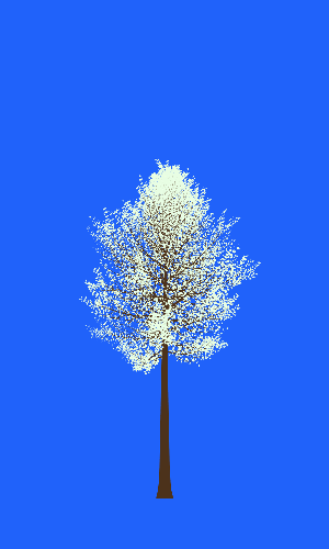 Treee
