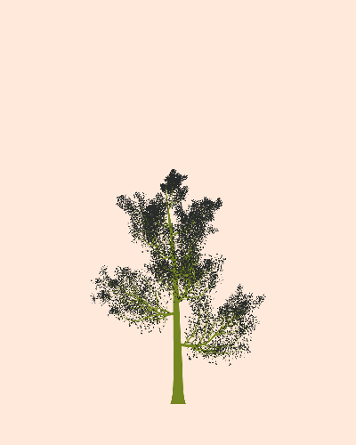 Treee