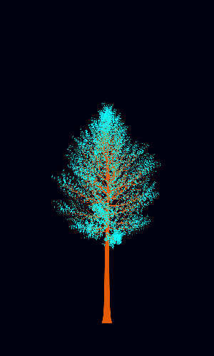 Treee