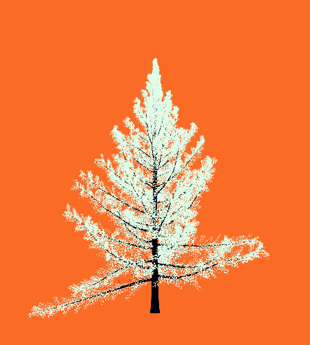 Treee