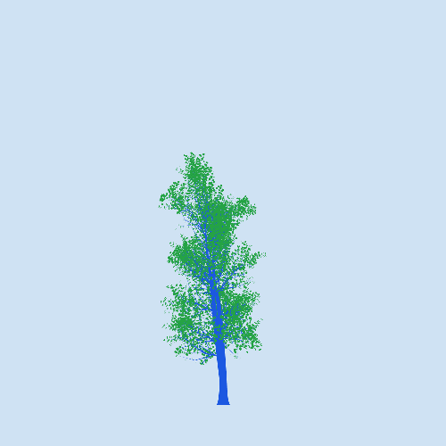 Treee