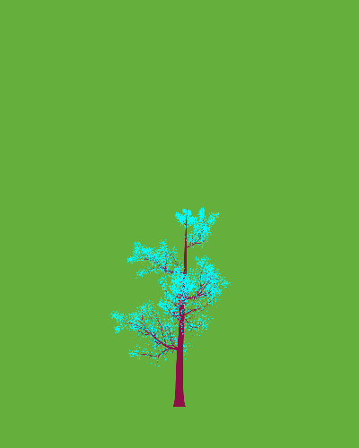 Treee