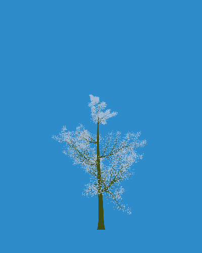 Treee