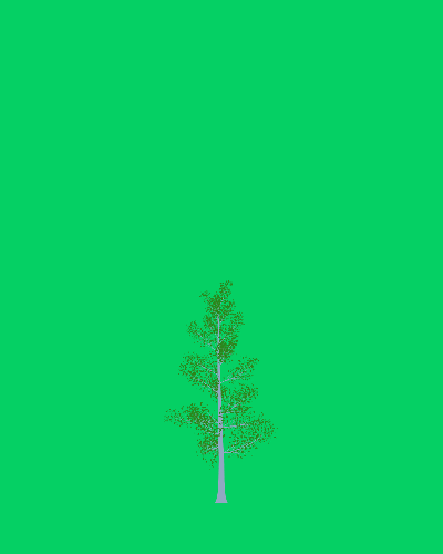 Treee