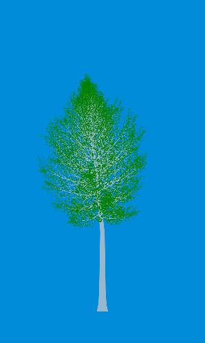 Treee