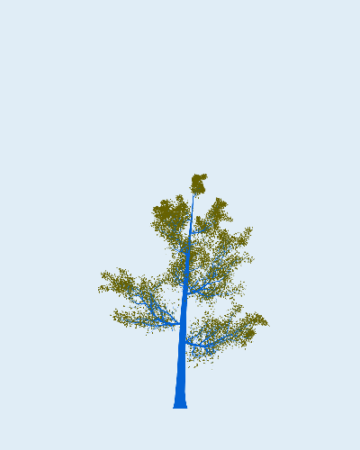 Treee
