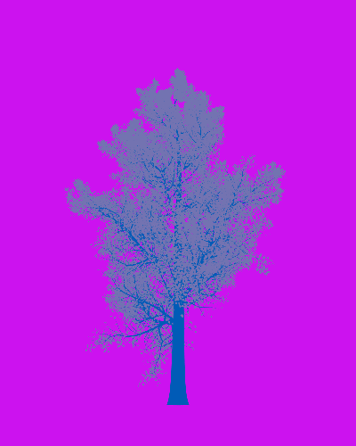 Treee