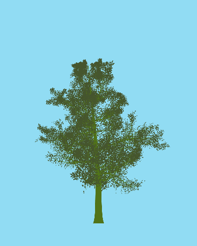 Treee