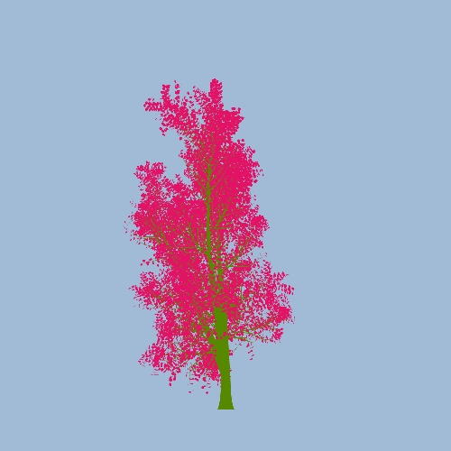 Treee